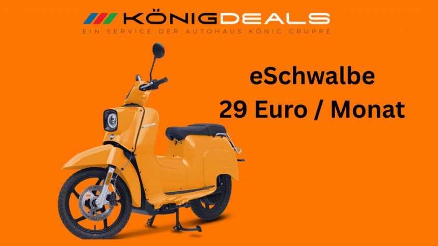 eSchwalbe