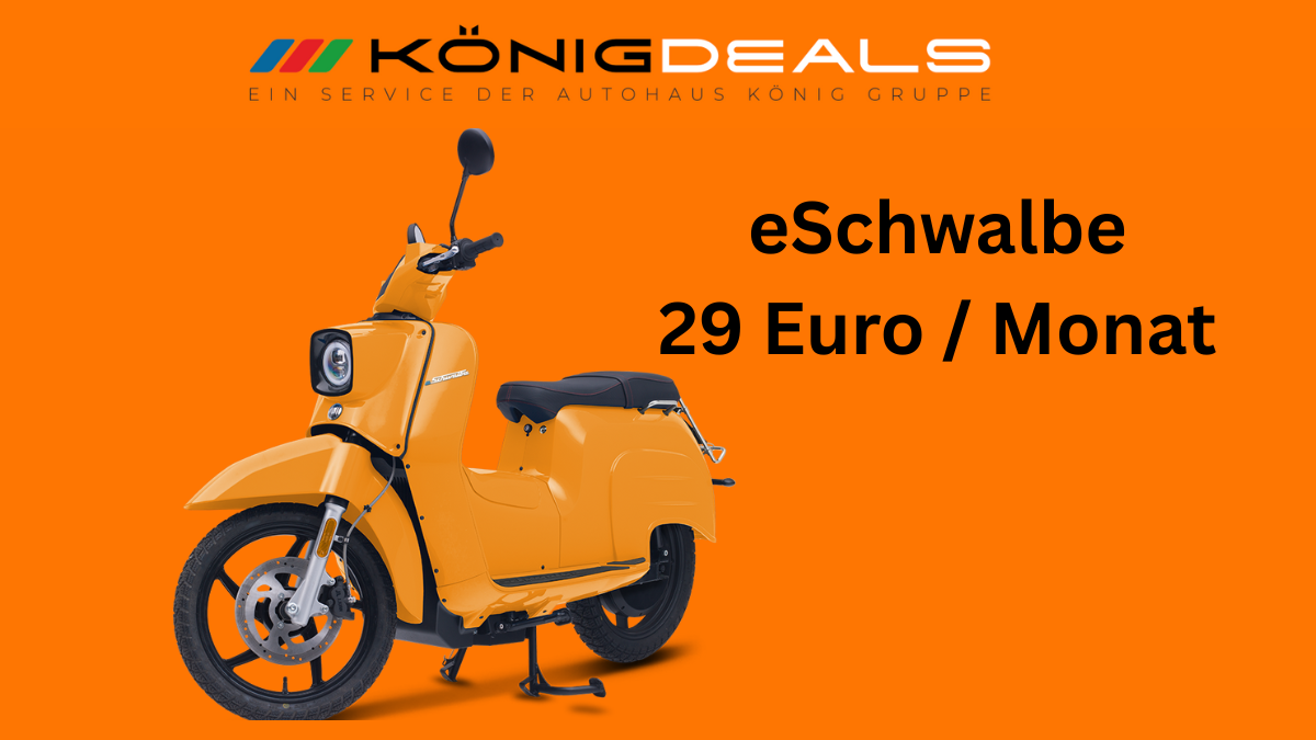 eSchwalbe