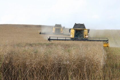Getreide Feld Traktor Maschine Ernte Erntemaschine