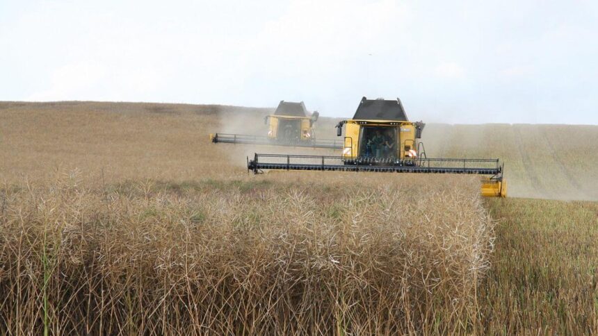 Getreide Feld Traktor Maschine Ernte Erntemaschine
