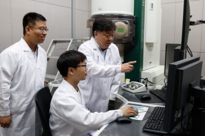 Lithium-Metall-Batterie Energiedichte China
