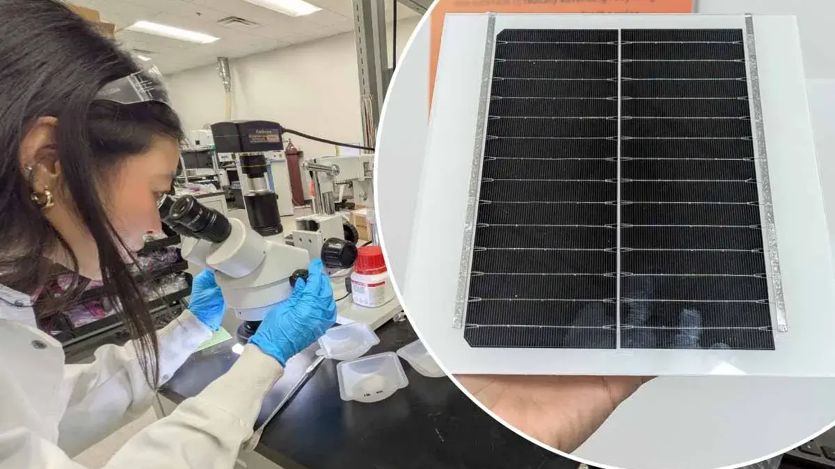 Solarmodule recyceltes Glas Kreislaufwirtschaft