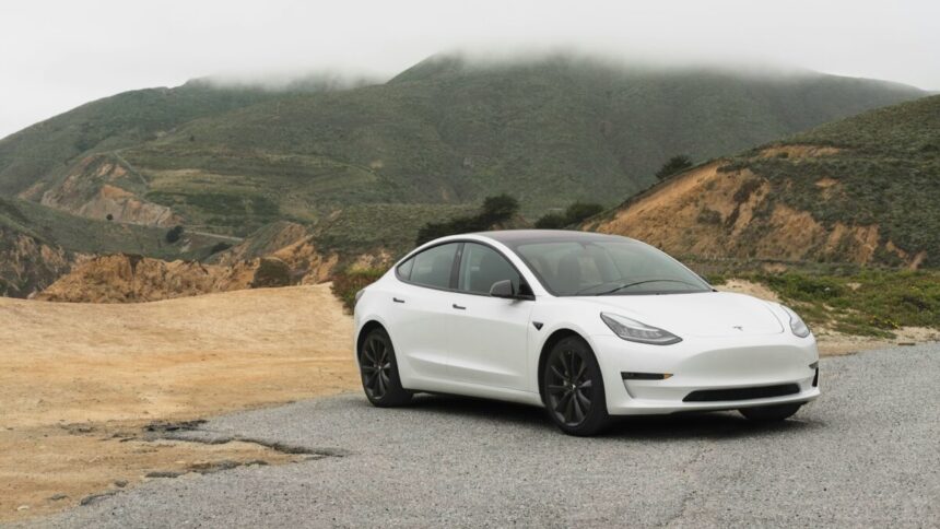 Tesla Model 3 Straße Berg Auto vegan