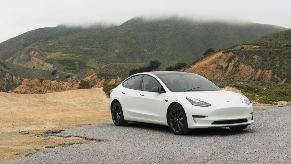 Tesla Model 3 Straße Berg Auto vegan