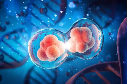 KI Krankheiten erkennen DOLPHIN