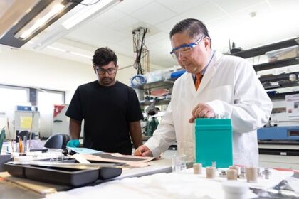 Recycling E-Auto-Batterien Dünger Elektromobilität Elektroautos E-Autos