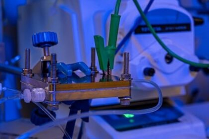 Batterien Lithium Recycling Akkus Energiewende