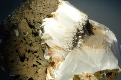 CO2 in Treibstoff umwandeln