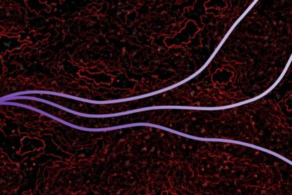 KI Halluzinationen Künstliche Intelligenz