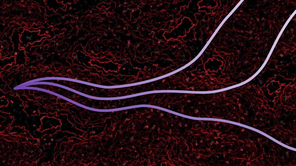 KI Halluzinationen Künstliche Intelligenz