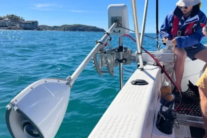 Korallenriffe wiederherstellen KI