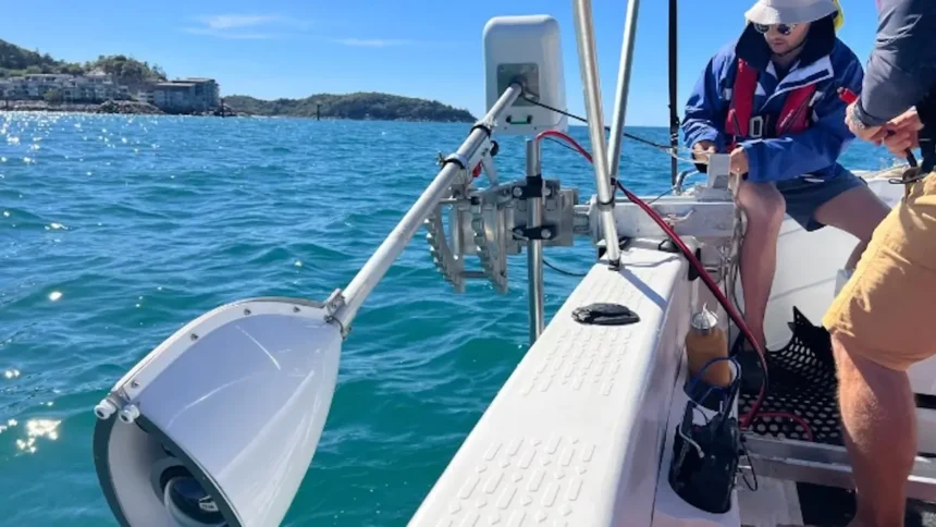 Korallenriffe wiederherstellen KI