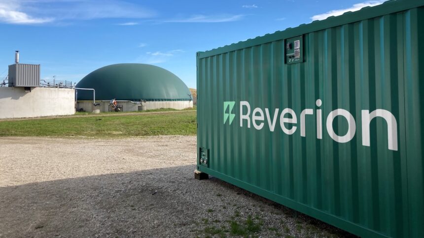 Reverion, Start-up, Klimaschutz, Umweltschutz, Deutschland, Start-up-Check, Kolumne