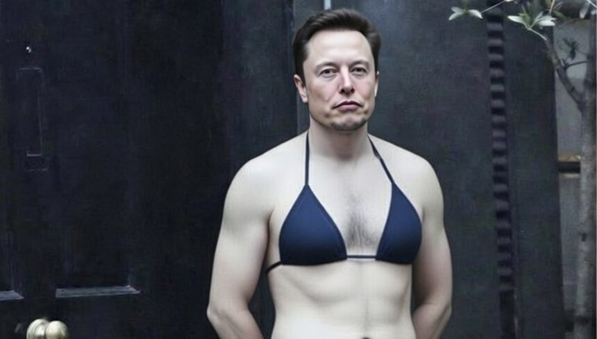Elon Musk Grok X Bikini