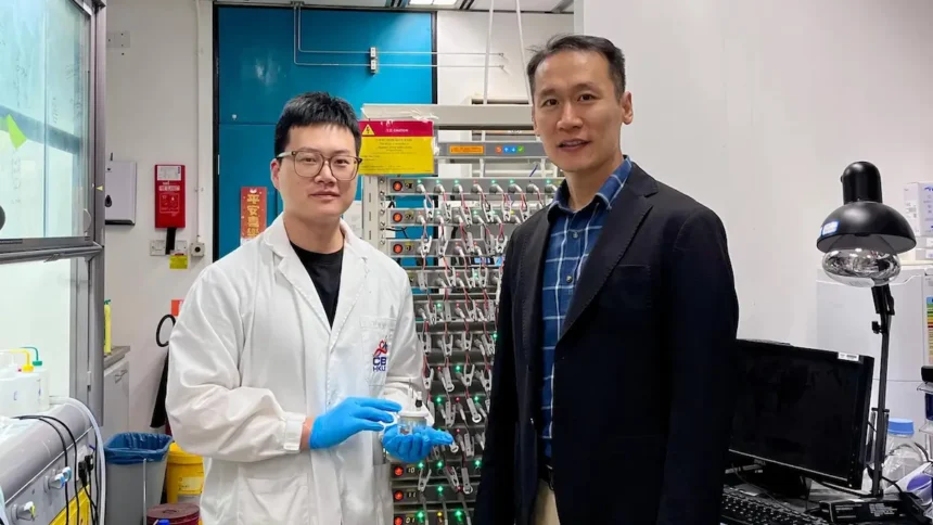 Calcium-Ionen-Batterien