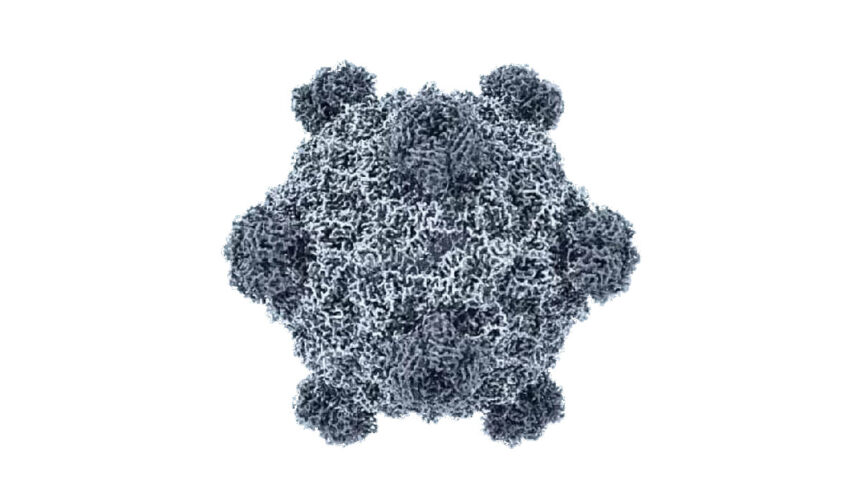 KI erschafft Viren Künstliche Intelligenz