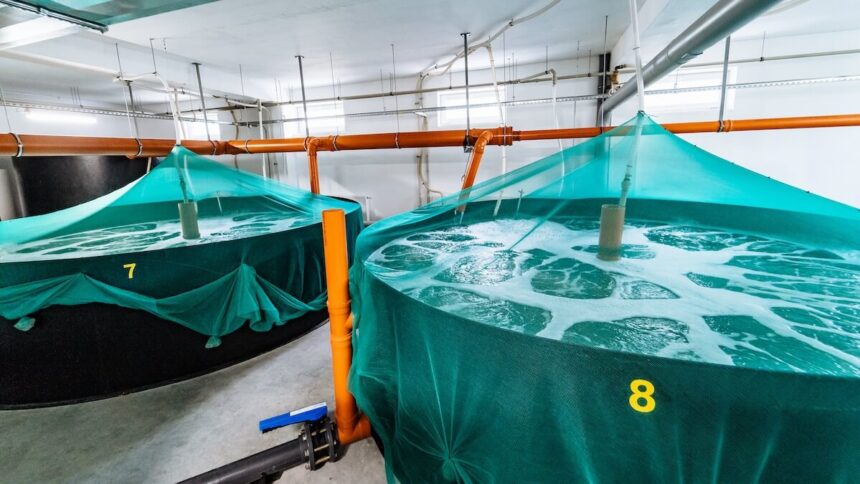 Lebensmittel CO2-Fußabdruck Emissionen