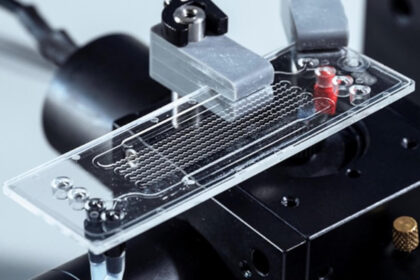 Schnelltest für Ewigkeitschemikalien Umwelt Umweltschutz Gesundheit PFAS