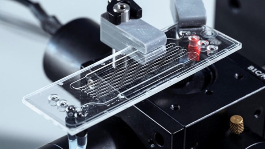 Schnelltest für Ewigkeitschemikalien Umwelt Umweltschutz Gesundheit PFAS