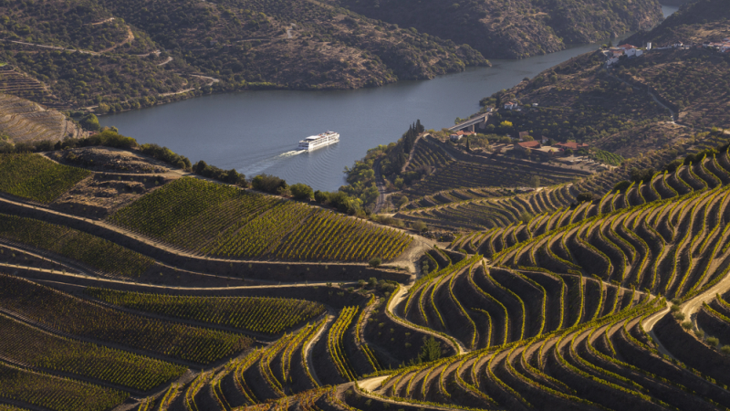Douro Valley Portugal Tal