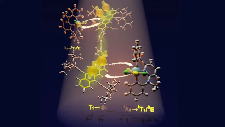Rekord Solarenergie Licht doppelt