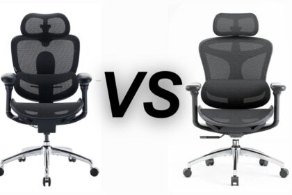 Sihoo C300 Pro V2 vs. C300