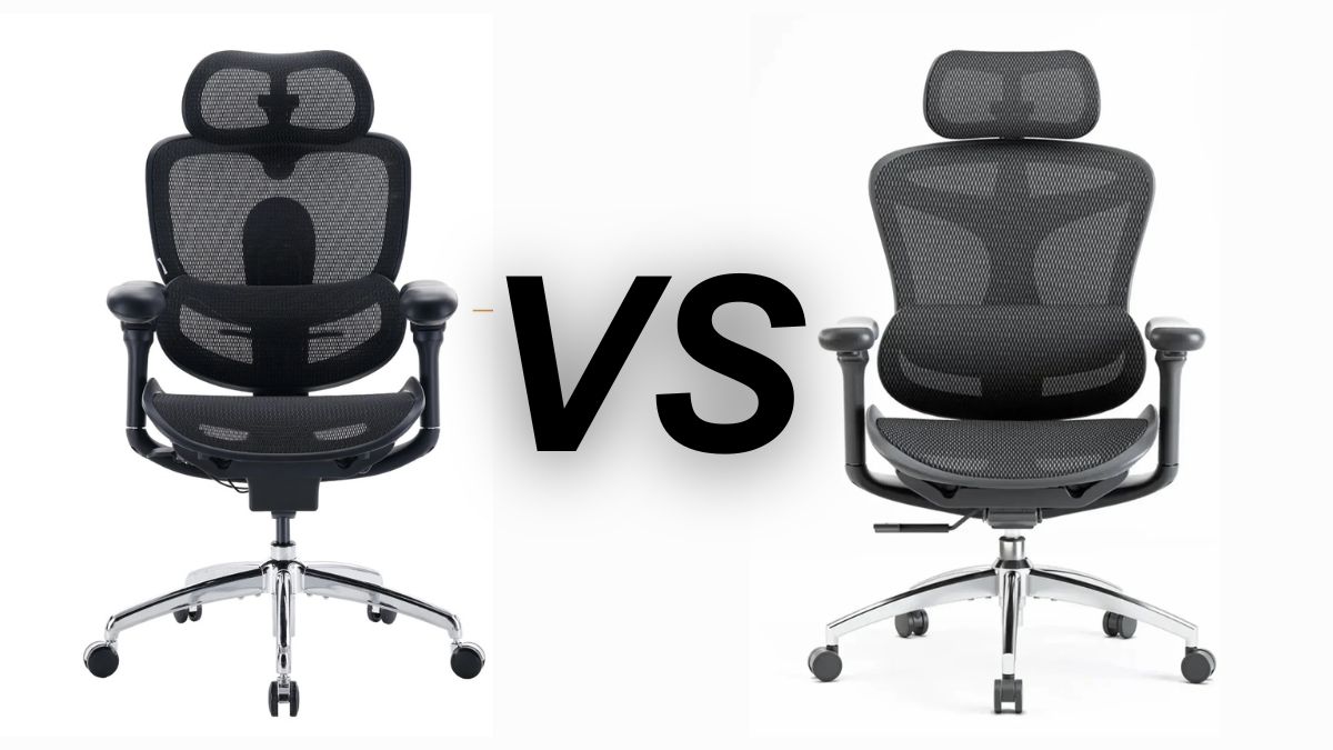 Sihoo C300 Pro V2 vs. C300