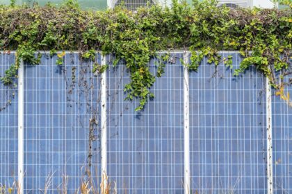 Solarzaun Solaranlage Zaun Mauer vertikal