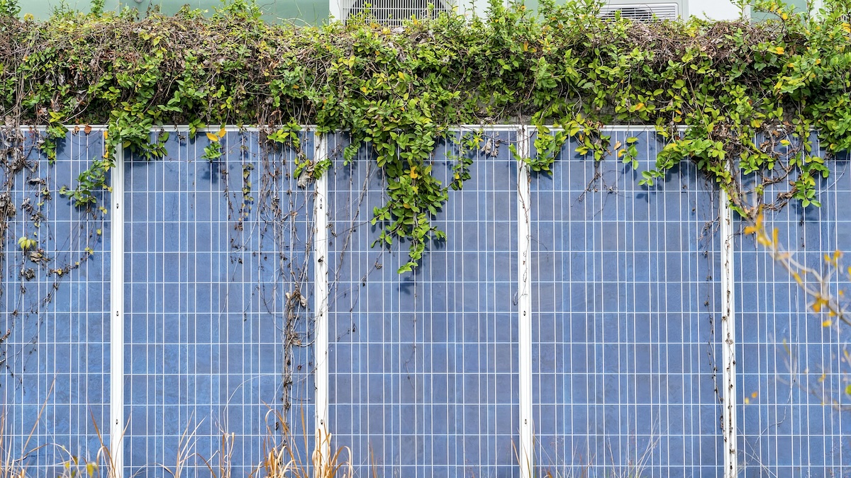 Solarzaun Solaranlage Zaun Mauer vertikal