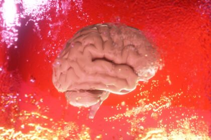 KI Brain Fry Künstliche Intelligenz Arbeit mentale Erschöpfung