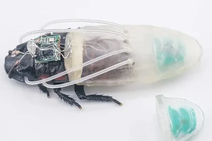 Cyborg Kakerlaken
