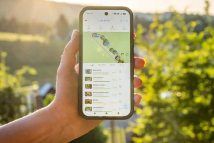 KI-app für Vogelarten