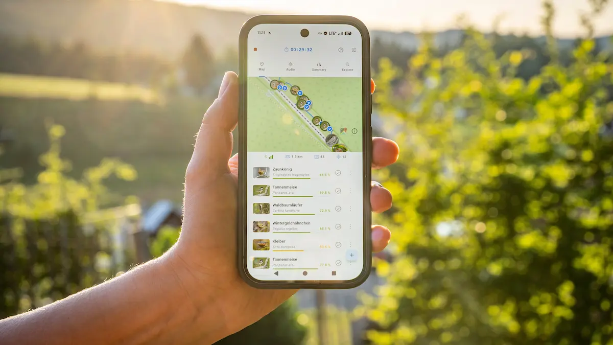 KI-app für Vogelarten