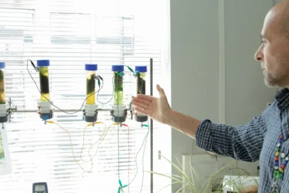 Algen-Batterien statt Lithium Akku mit Algen