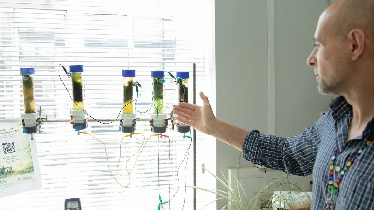 Algen-Batterien statt Lithium Akku mit Algen
