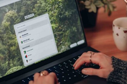 Ecosia Qwant Suchindex Europa Deutschland Google Alternative