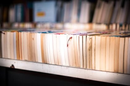 Bücher Bestellungen KI Künstliche Intelligenz Anthropic Antiquariate