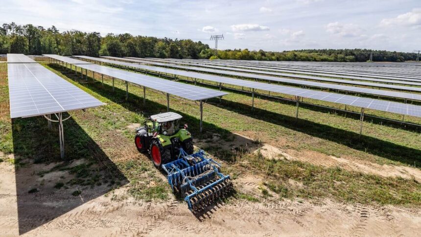 Agri-Photovoltaik Schönefeld Solarenergie Erneuerbare Energien Landwirtschaft