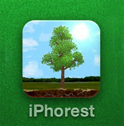 iphorest